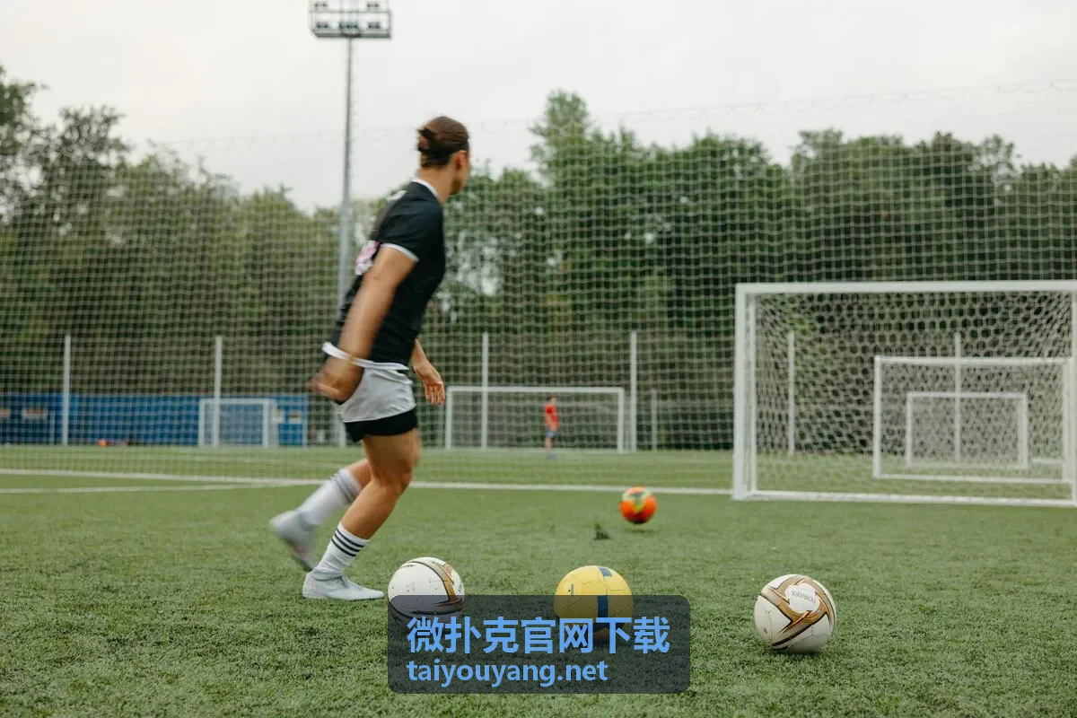 2026世界杯主办国全解析：美国加拿大墨西哥联合承办